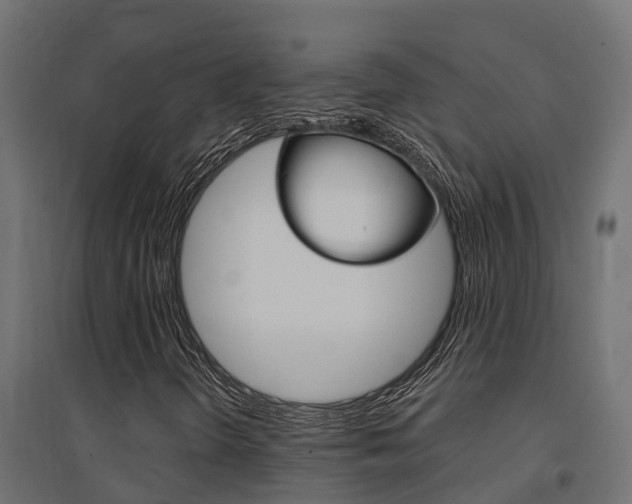 X0000094901298200711291013