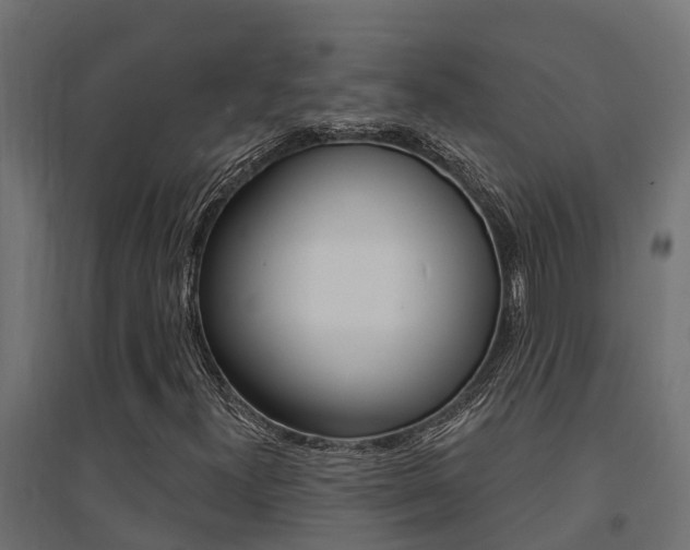 X0000094901300200711291013
