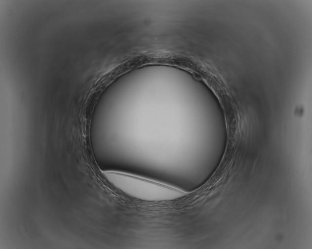 X0000094901301200711291013