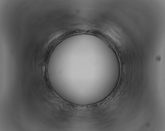 X0000094901302200711291013