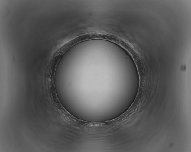 X0000094901303200711291013