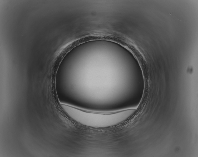 X0000094901304200711291013