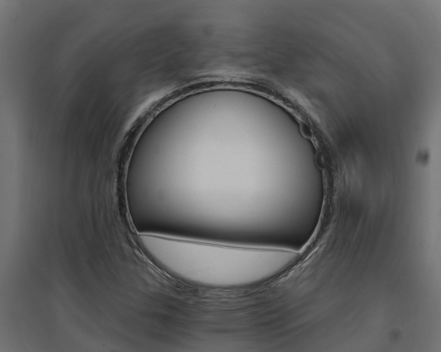 X0000094901307200711291013