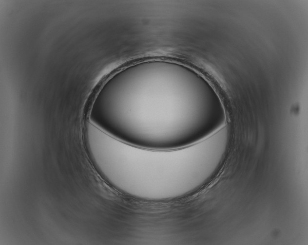 X0000094901308200711291013