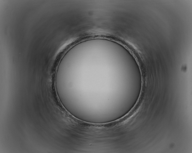 X0000094901309200711291013