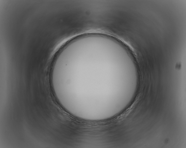 X0000094901311200711291013