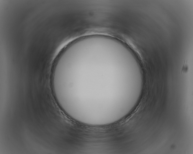 X0000094901312200711291013