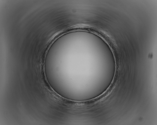 X0000094901313200711291013
