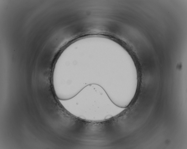 X0000094901314200711291013