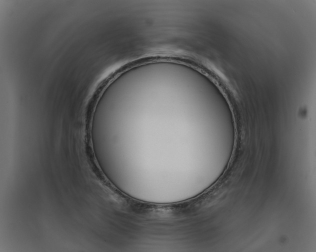 X0000094901315200711291013
