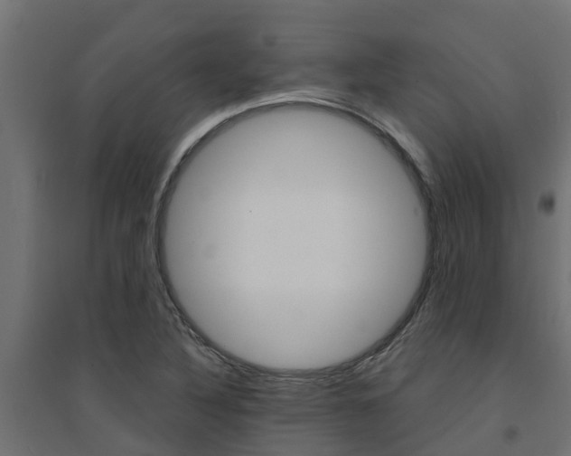 X0000094901316200711291013