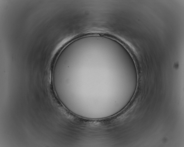 X0000094901317200711291013