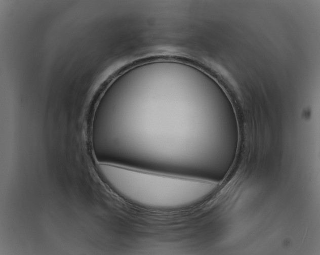 X0000094901318200711291013