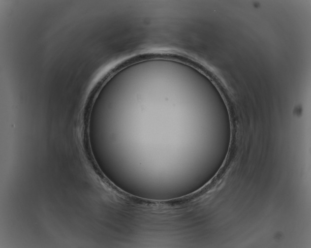 X0000094901319200711291013