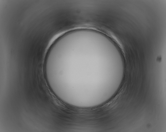 X0000094901320200711291013