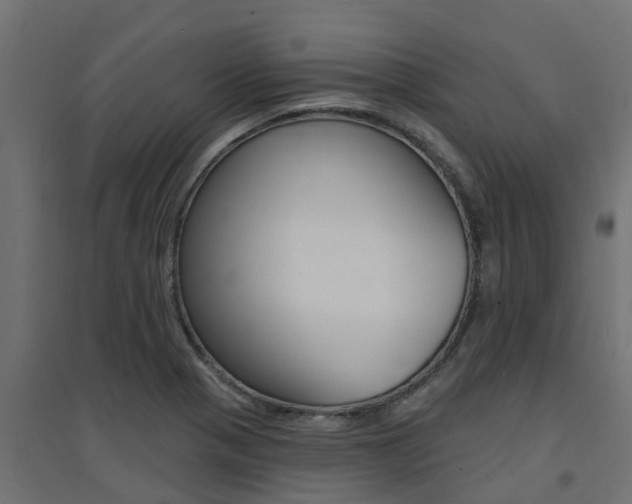 X0000094901321200711291013