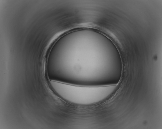 X0000094901323200711291013