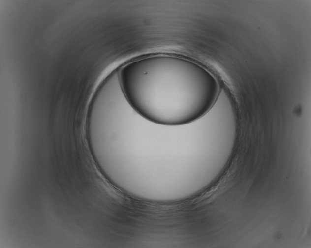 X0000094901324200711291013