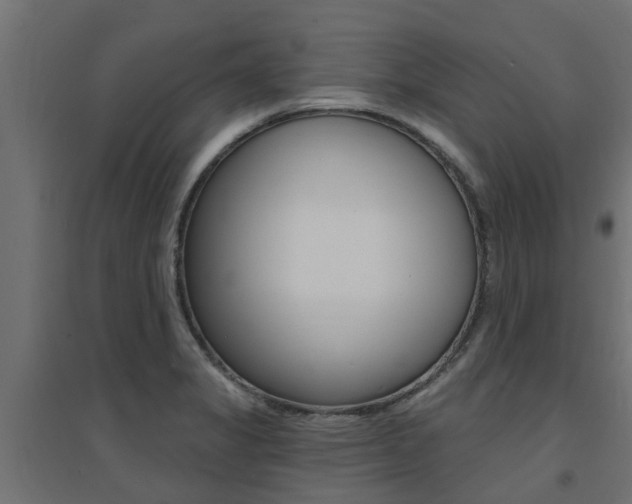 X0000094901325200711291013