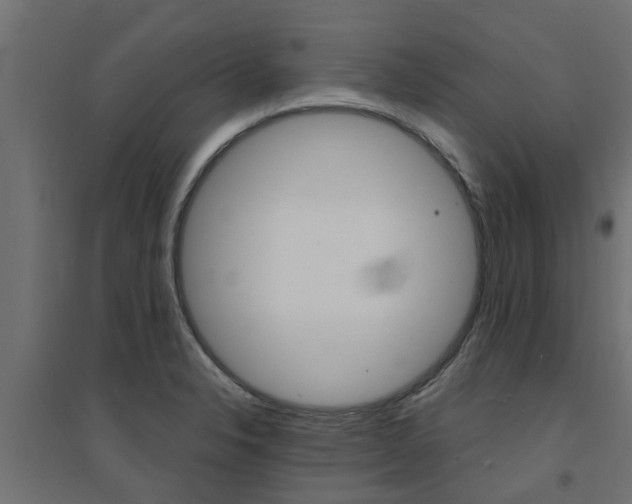 X0000094901326200711291013
