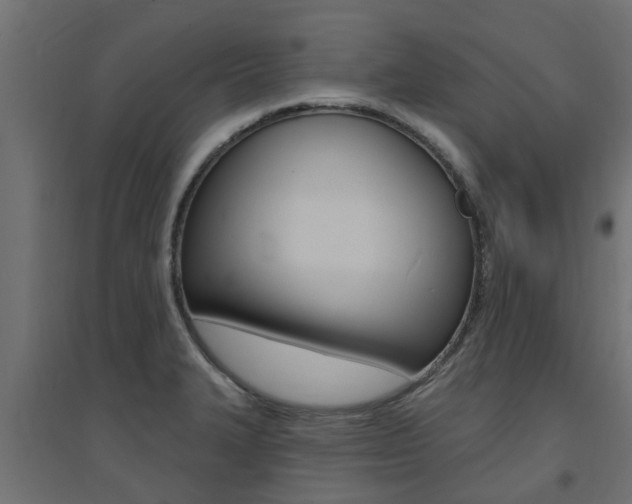 X0000094901327200711291013