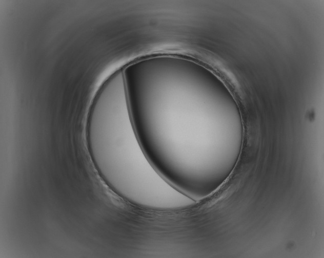 X0000094901328200711291013