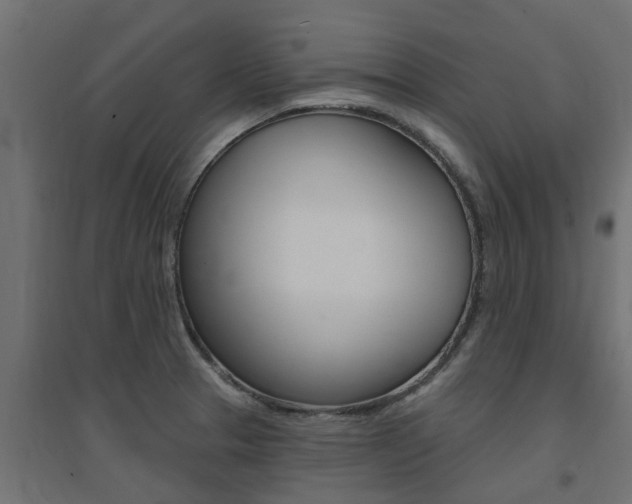 X0000094901329200711291013