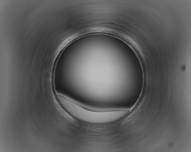 X0000094901330200711291013
