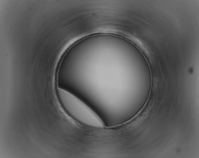 X0000094901331200711291013