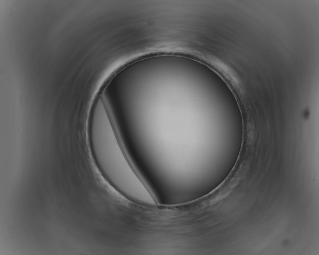 X0000094901334200711291014
