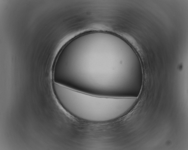 X0000094901335200711291014