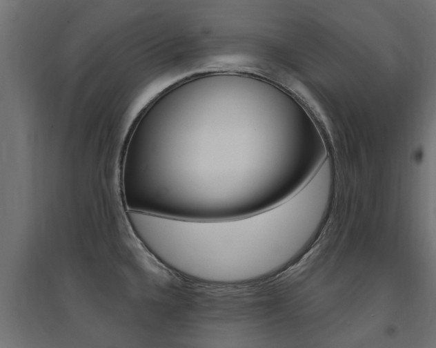 X0000094901336200711291014