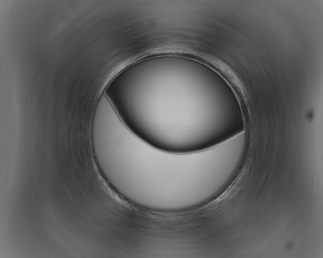 X0000094901337200711291014