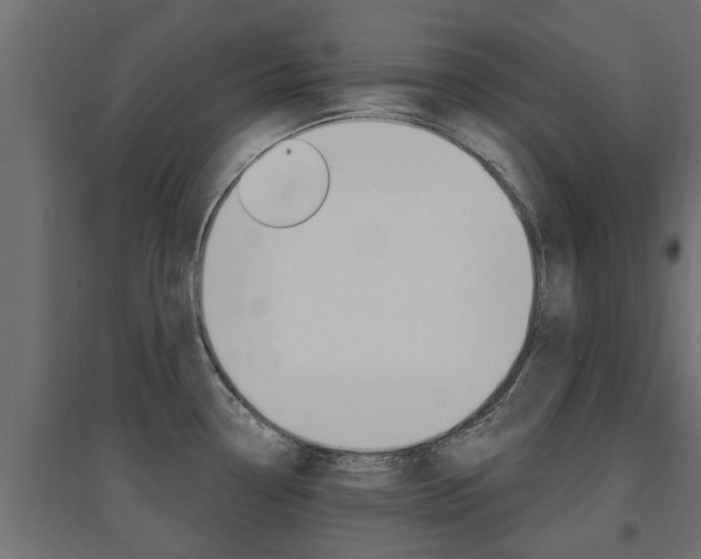 X0000094901338200711291014