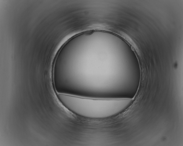 X0000094901339200711291014