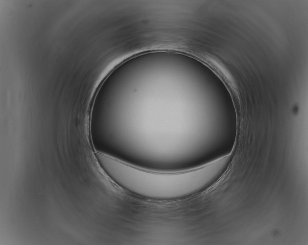 X0000094901340200711291014