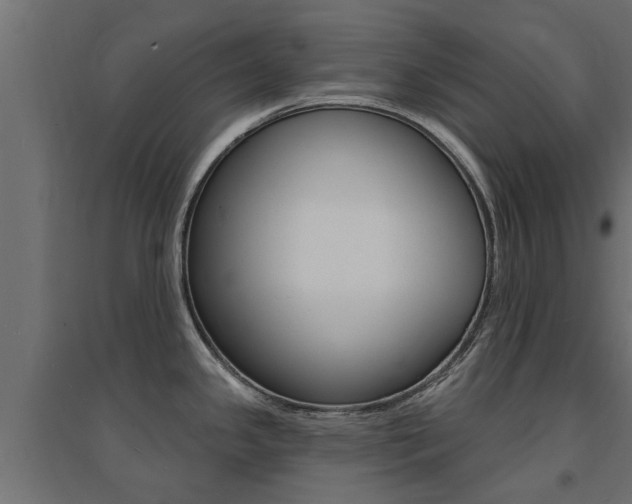 X0000094901341200711291014