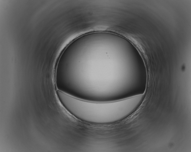 X0000094901342200711291014