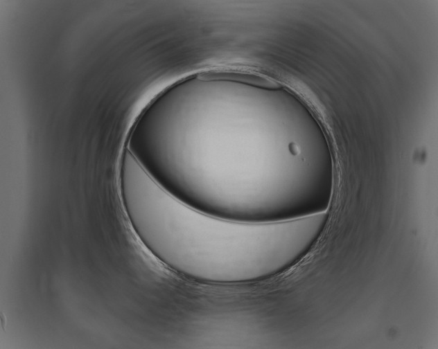 X0000094901344200711291014