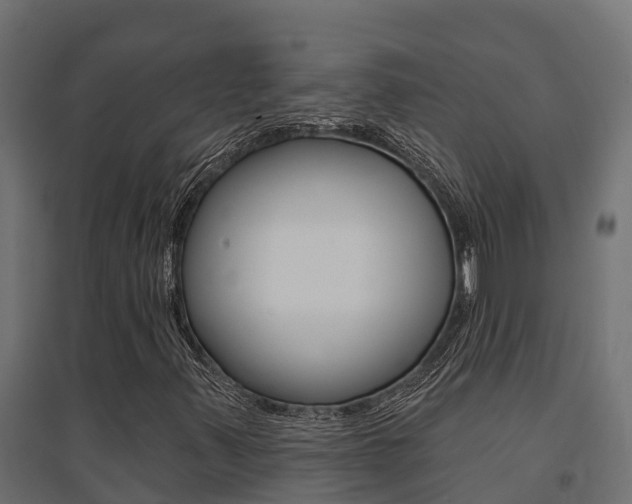 X0000094901347200711291013