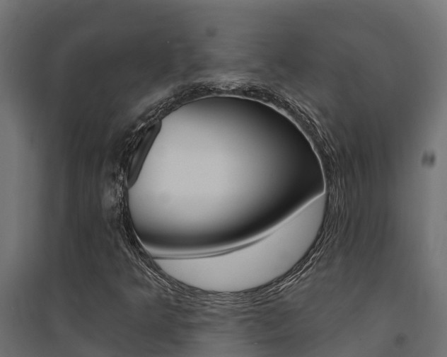 X0000094901349200711291013