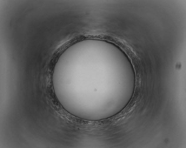 X0000094901350200711291013