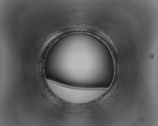 X0000094901352200711291013