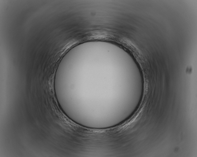 X0000094901353200711291013