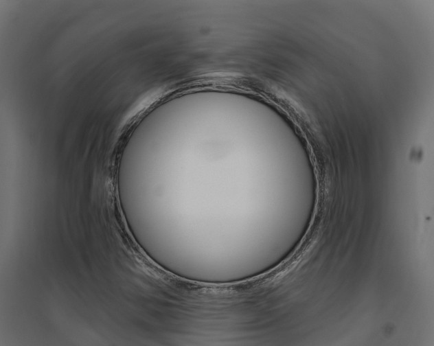 X0000094901354200711291013