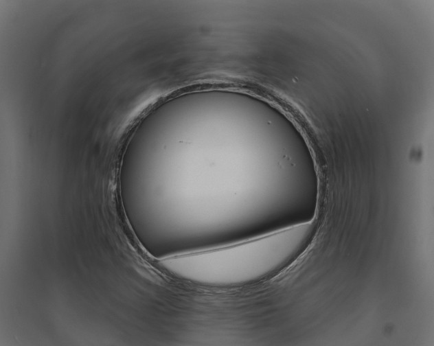 X0000094901355200711291013