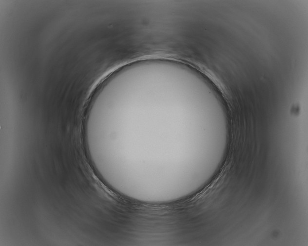 X0000094901356200711291013
