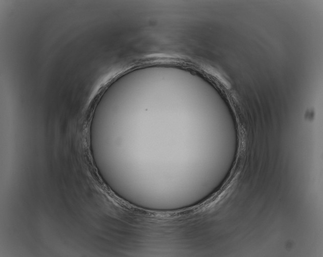 X0000094901357200711291013