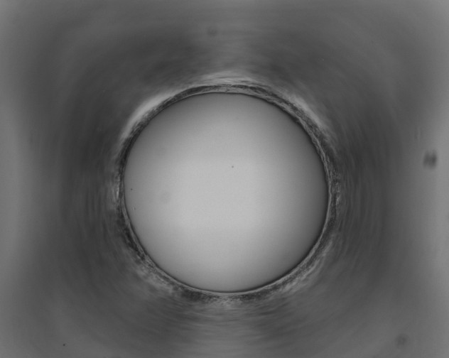 X0000094901358200711291013