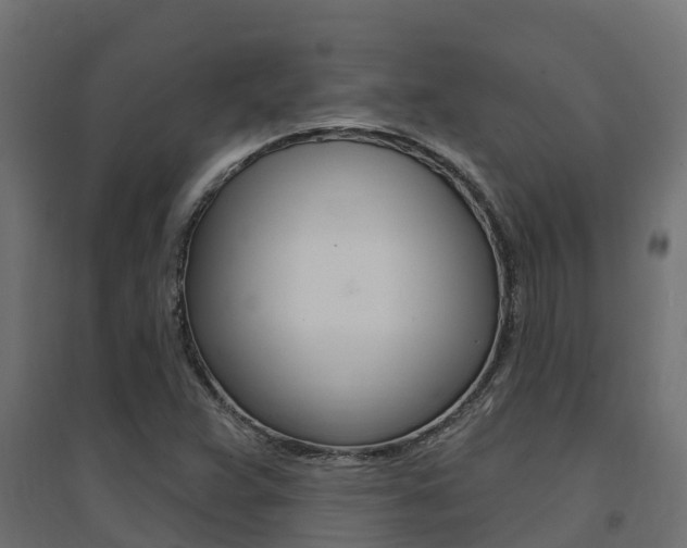 X0000094901359200711291013